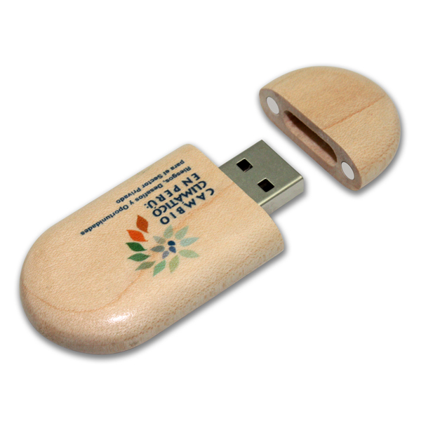 BYU-W01 (Wooden USB)